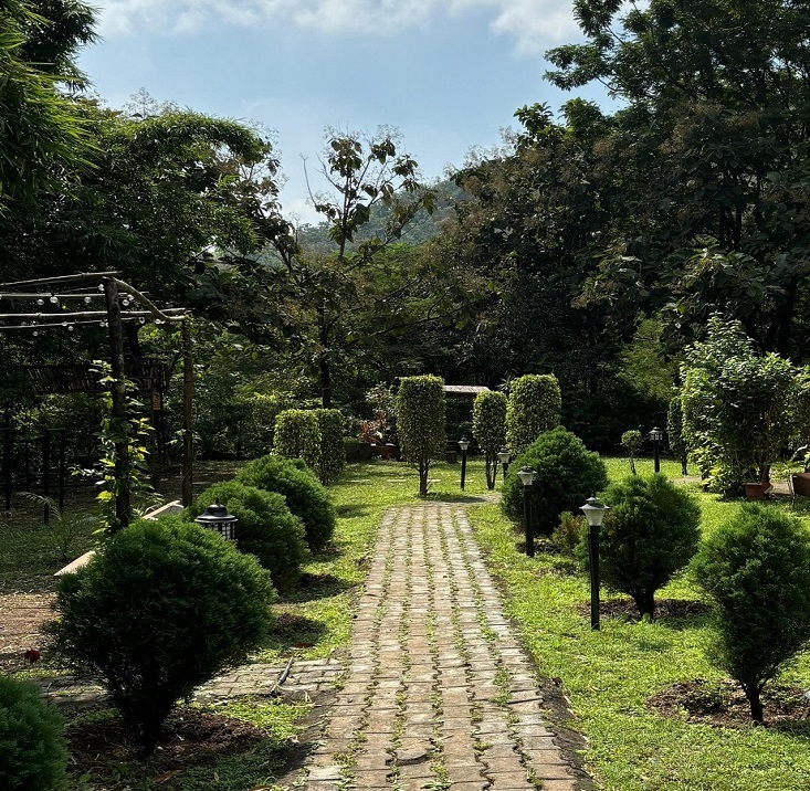 aaa